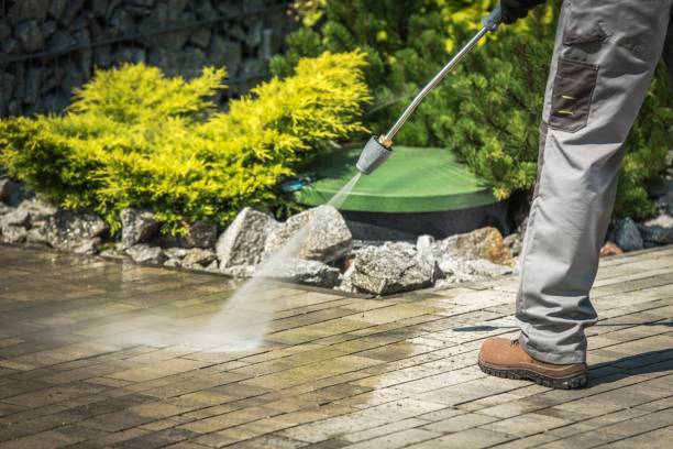 Best Driveway Pressure Washing  in Pine Mountain Clu, CA